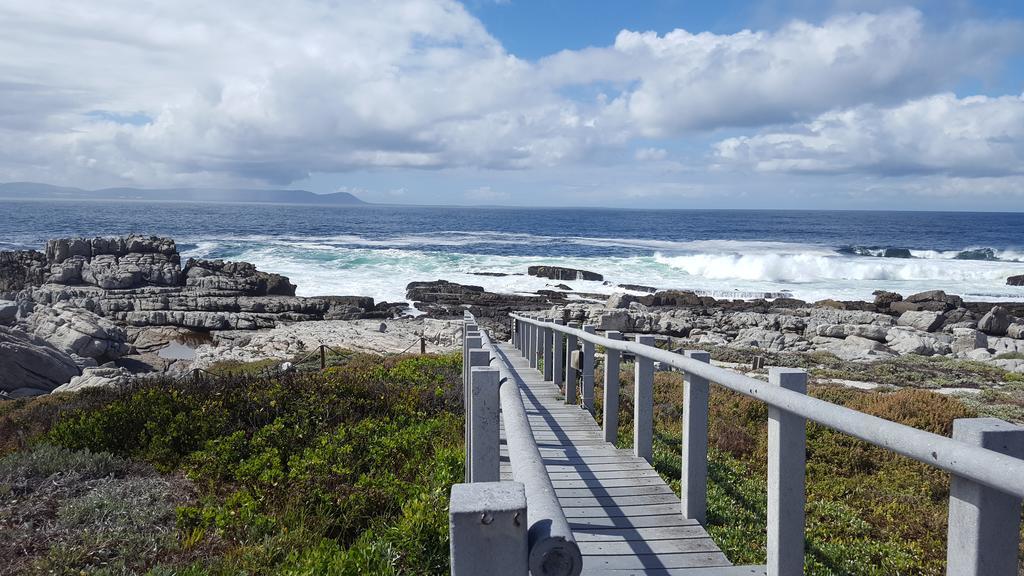 Whale View Self Catering Apartment Hermanus Exteriér fotografie